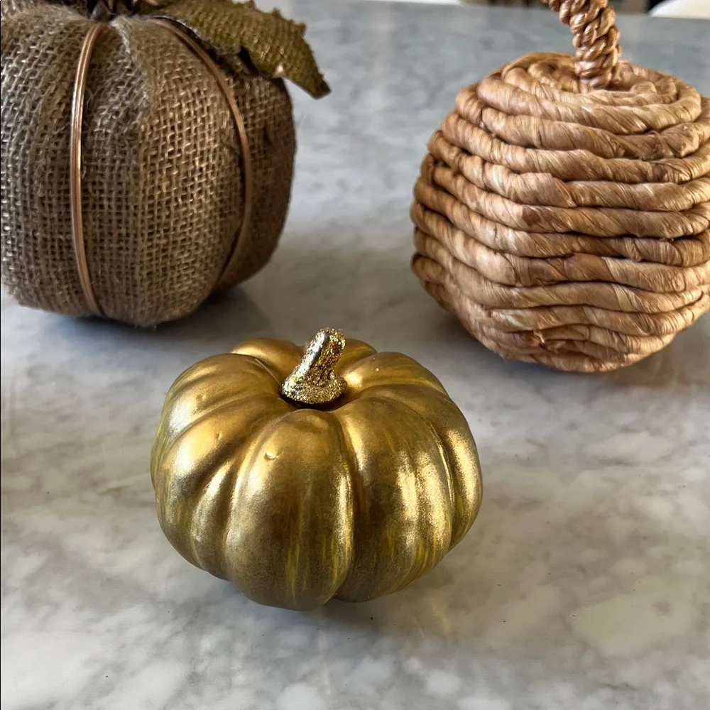 Target Rustic Pumpkin Decor bundle Set - Gold, Brown, Orange